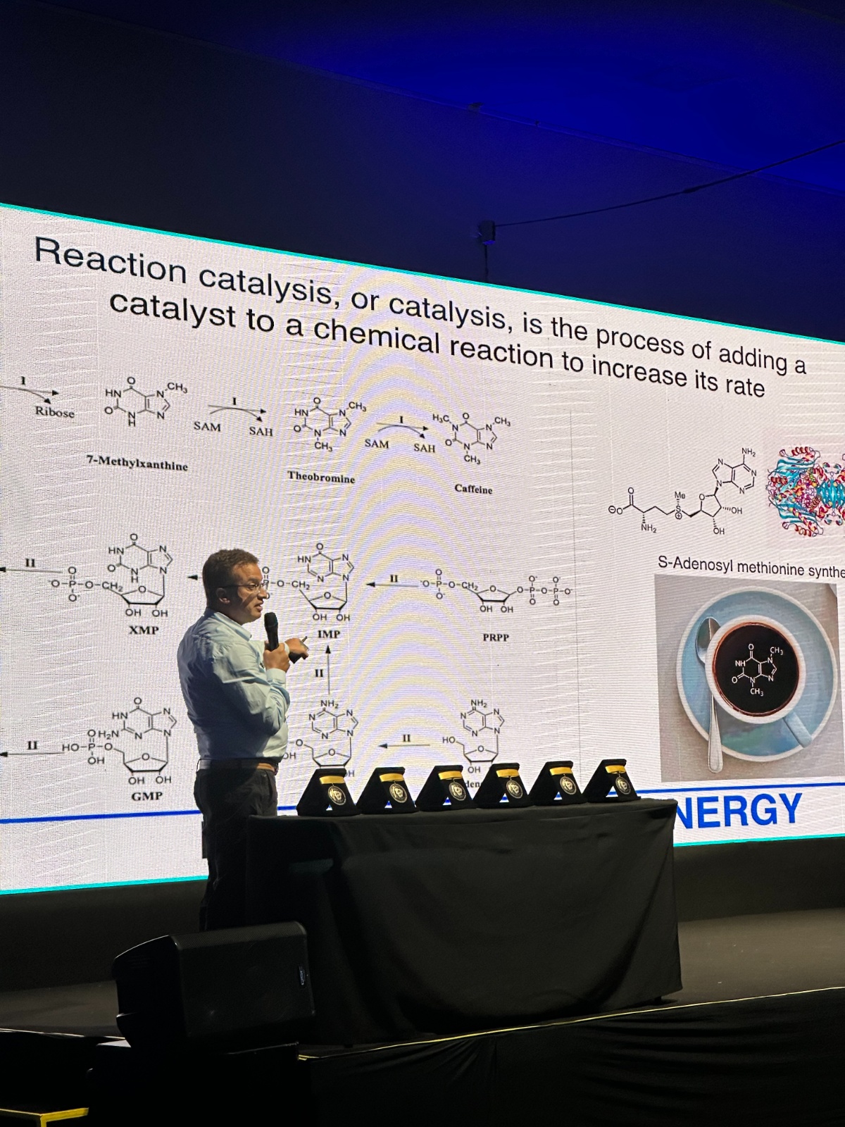 iberoms2024-fotos-do-evento-31
